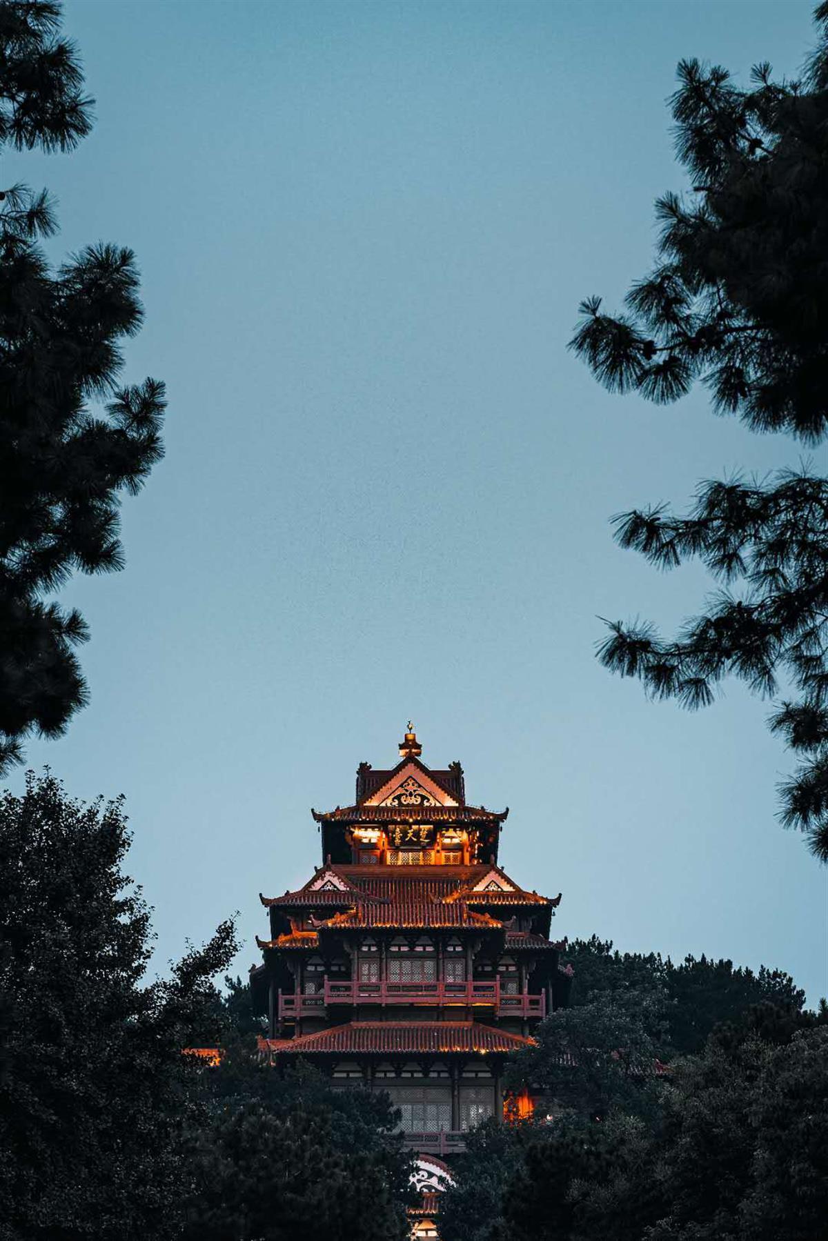 信誉游戏平台